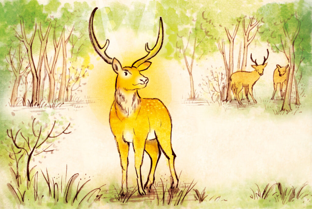 連載 仏教と動物 第5回 鹿にまつわるお話 | 浄土宗【公式サイト】