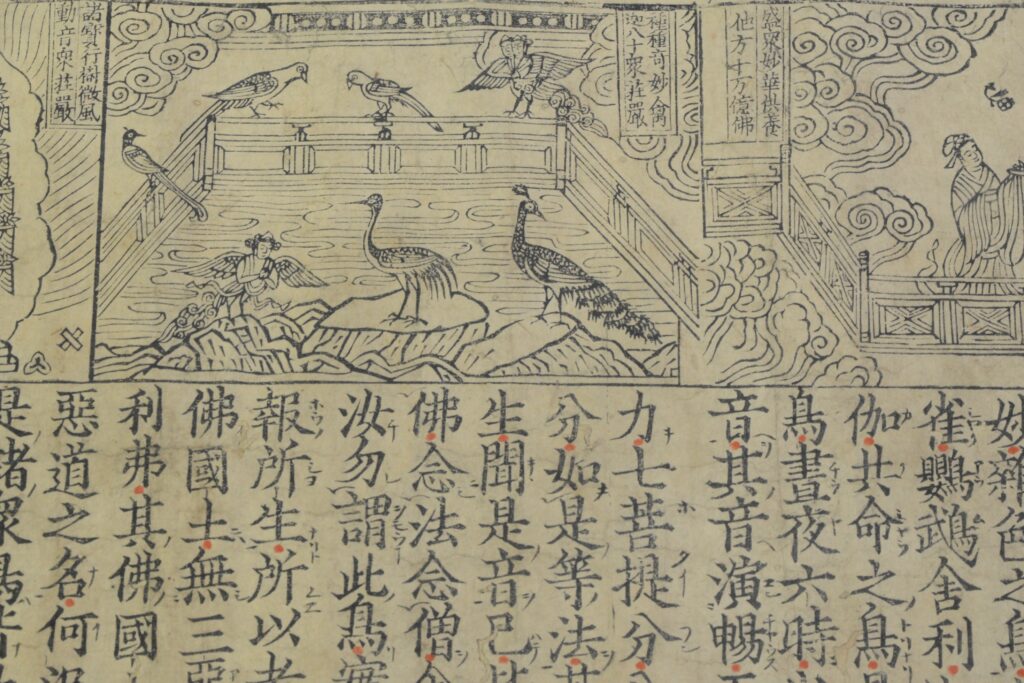 連載 仏教と動物 第17回 鸚鵡にまつわるお話 | 浄土宗【公式サイト】