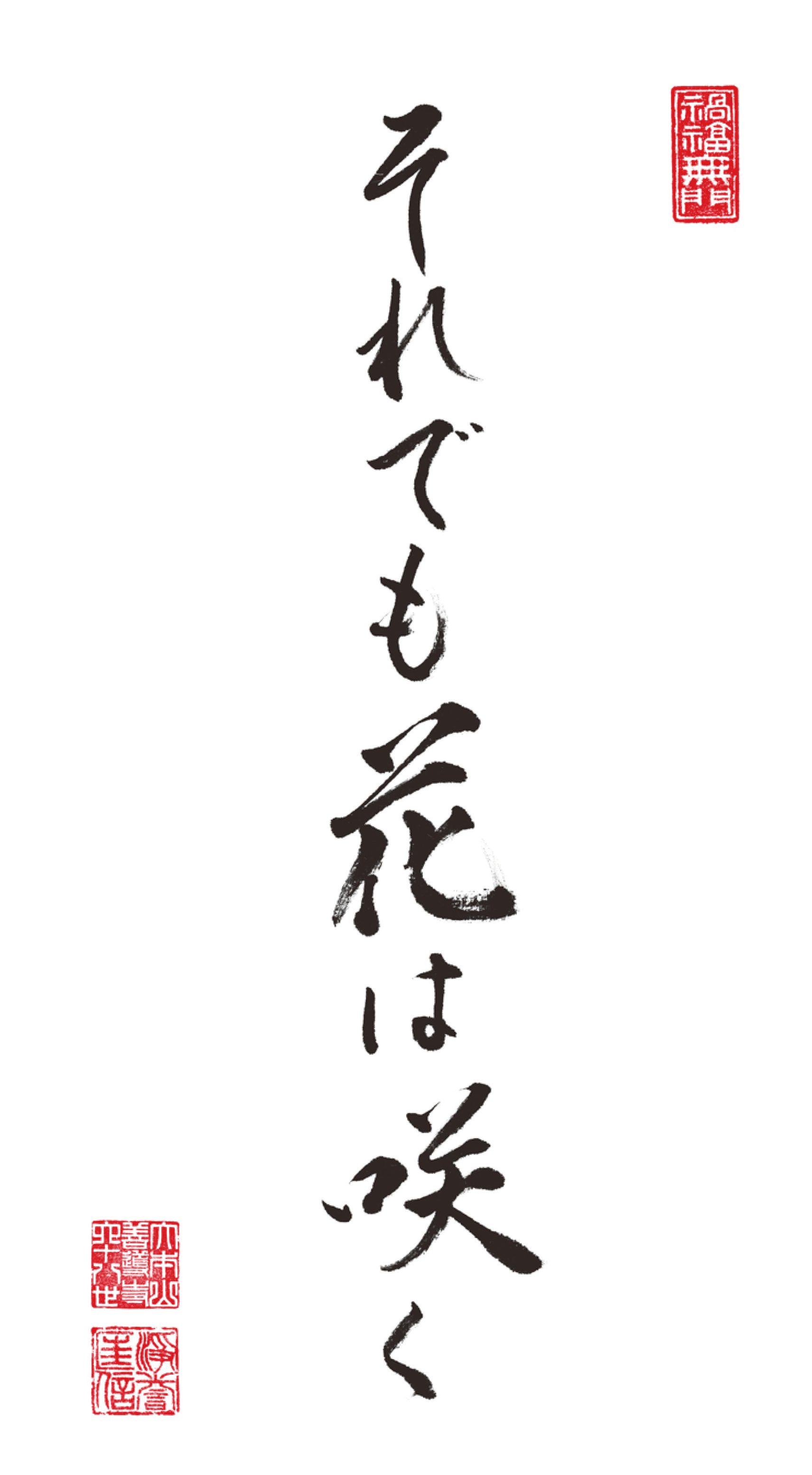 2026年4月:それでも花は咲く | 浄土宗【公式サイト】
